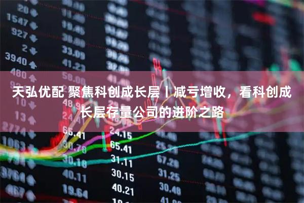 天弘优配 聚焦科创成长层丨减亏增收，看科创成长层存量公司的进阶之路