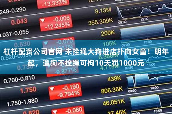 杠杆配资公司官网 未拴绳大狗进店扑向女童！明年起，遛狗不拴绳可拘10天罚1000元