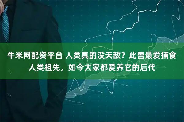 牛米网配资平台 人类真的没天敌？此兽最爱捕食人类祖先，如今大家都爱养它的后代