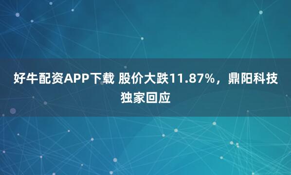 好牛配资APP下载 股价大跌11.87%，鼎阳科技独家回应